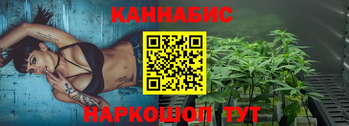 Бошки Шишки конопля Бахчисарай